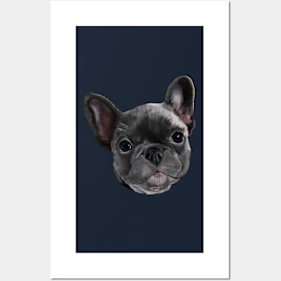 Black | Charcoal French Bulldog Puppy Posters and Art